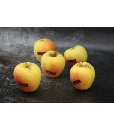 Pomme Golden rosée - Lot de 5