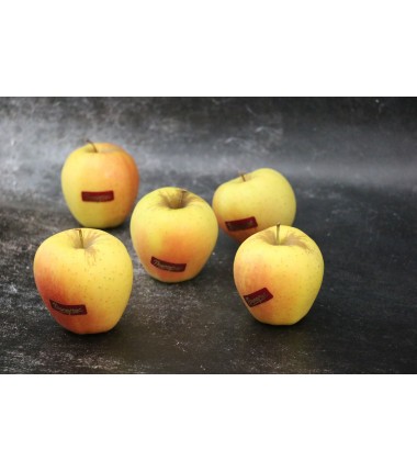 Pomme Golden rosée - Lot de 5 en ligne sur Maison Seyssac