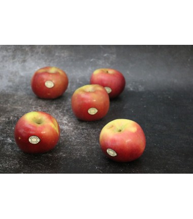 Pomme Fuji - Lot de 5 en ligne sur Maison Seyssac