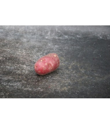 Pomme de terre Roseval - Le kilo