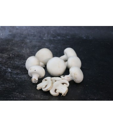 Champignon de Paris Blanc - 500g en ligne sur Maison Seyssac