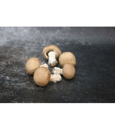 Champignon Brun - 500 G en ligne sur Maison Seyssac