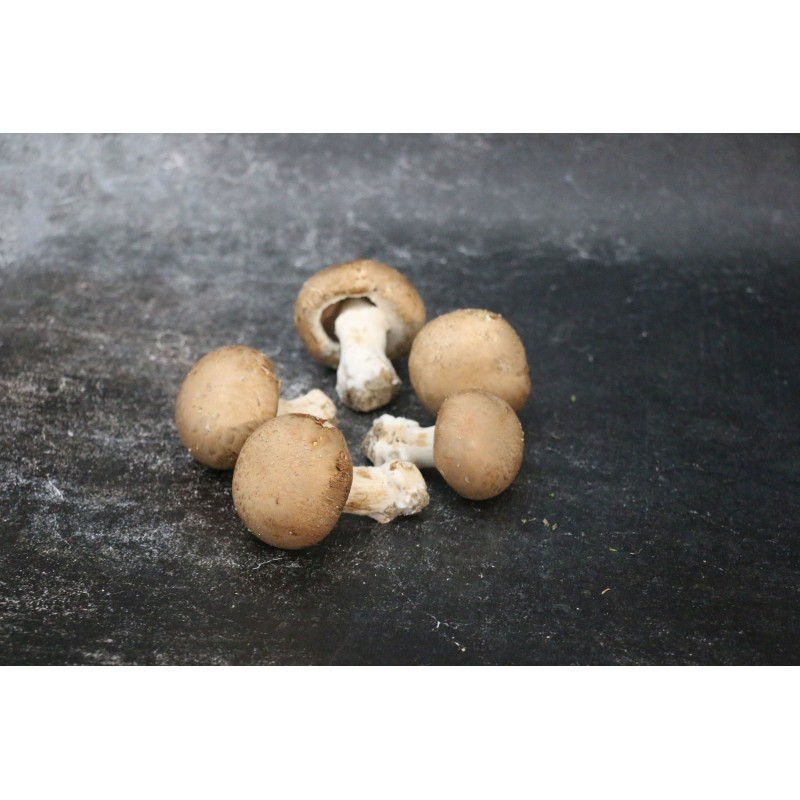 Champignon Brun - 500 G