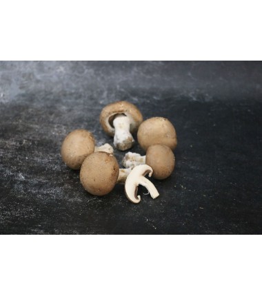 Champignon Brun - 500 G en ligne sur Maison Seyssac