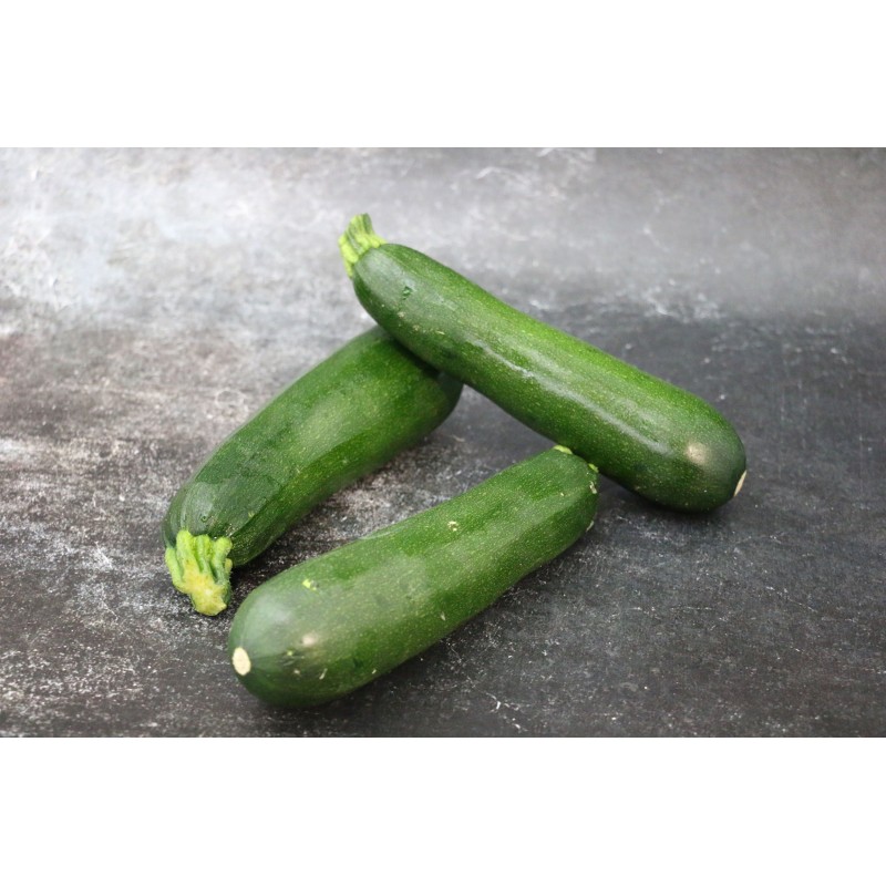 Courgette verte - Lot de 4