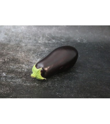 Aubergine - Lot de 2