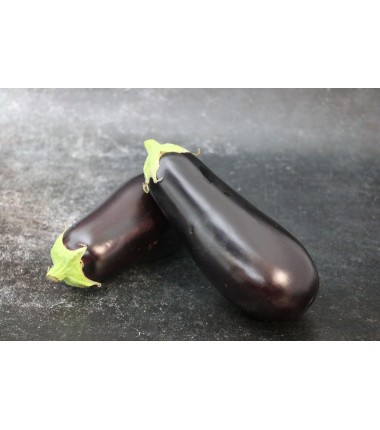 Aubergine - Lot de 2 en ligne sur Maison Seyssac