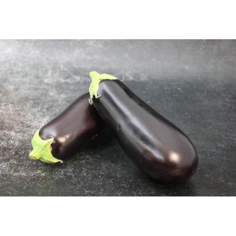 Aubergine - Lot de 2 en ligne sur Maison Seyssac