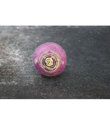 Navet rond violet - Le kilo en ligne sur Maison Seyssac