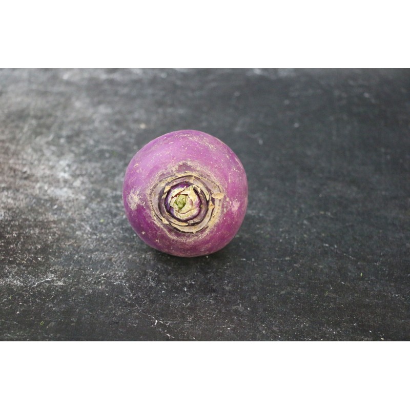 Navet rond violet - Le kilo en ligne sur Maison Seyssac