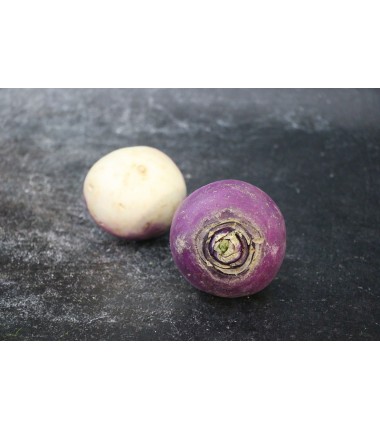 Navet rond violet - Le kilo en ligne sur Maison Seyssac