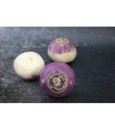 Navet rond violet - Le kilo en ligne sur Maison Seyssac