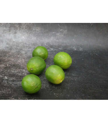 Citron Vert - Lot de 5 en ligne sur Maison Seyssac