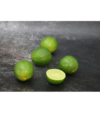 Citron Vert - Lot de 5 en ligne sur Maison Seyssac