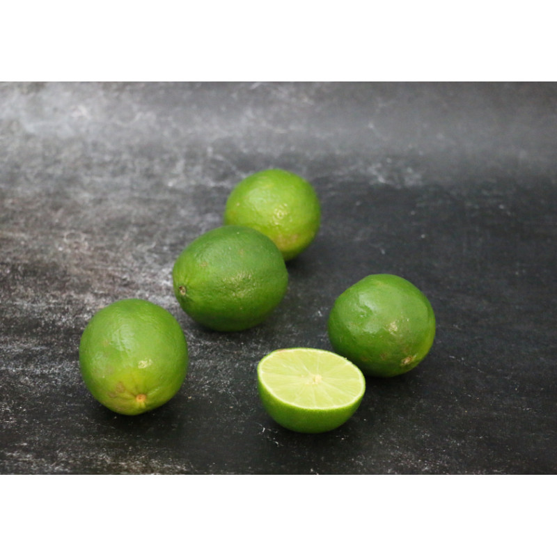 Citron Vert - Lot de 5 en ligne sur Maison Seyssac