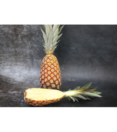 Ananas Bouteille - La pièce en ligne sur Maison Seyssac