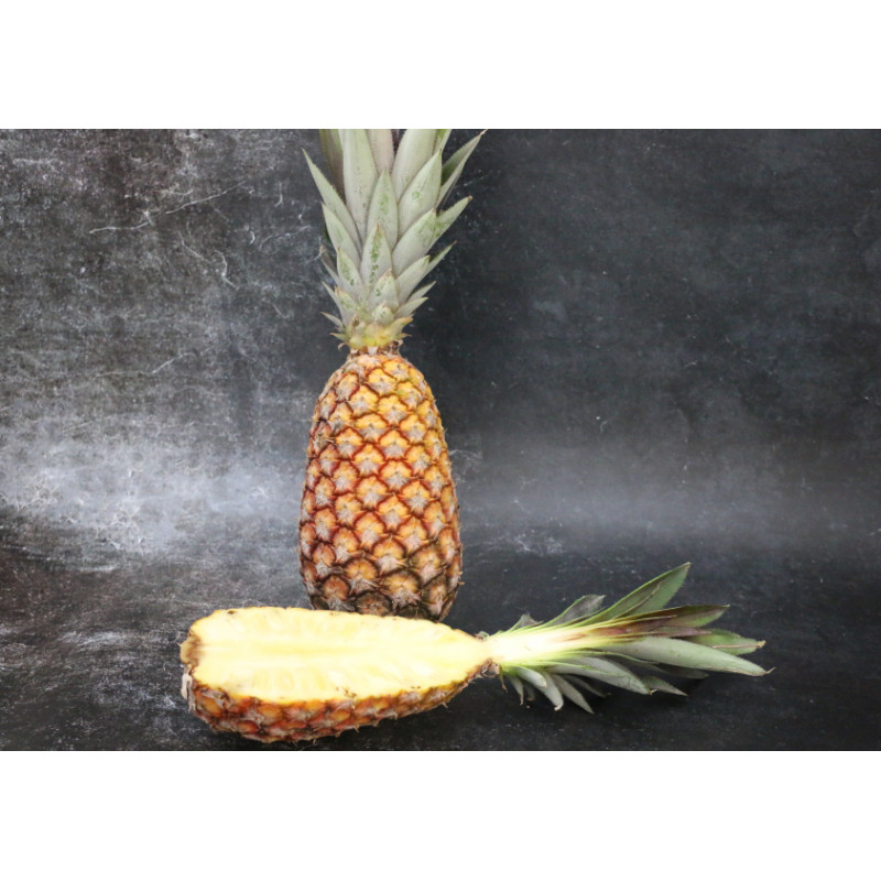 Ananas Bouteille - La pièce en ligne sur Maison Seyssac