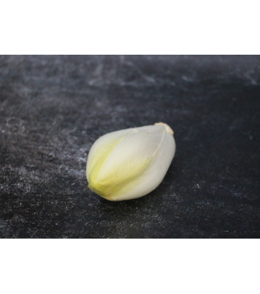 Endive blanche - Lot de 3 en ligne sur Maison Seyssac