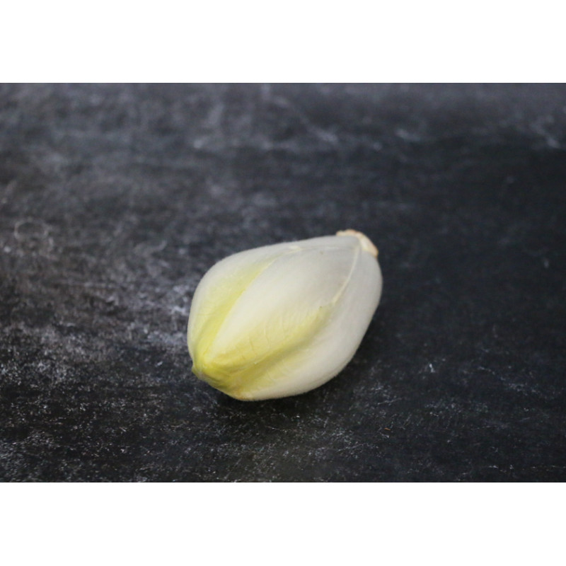 Endive blanche - Lot de 3 en ligne sur Maison Seyssac