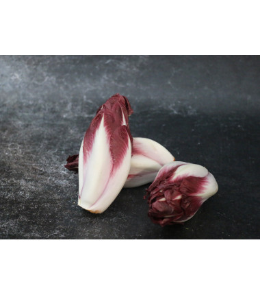 Endive carmine - Lot de 5 en ligne sur Maison Seyssac