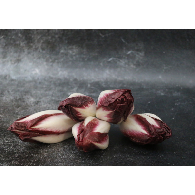 Endive carmine - Lot de 5