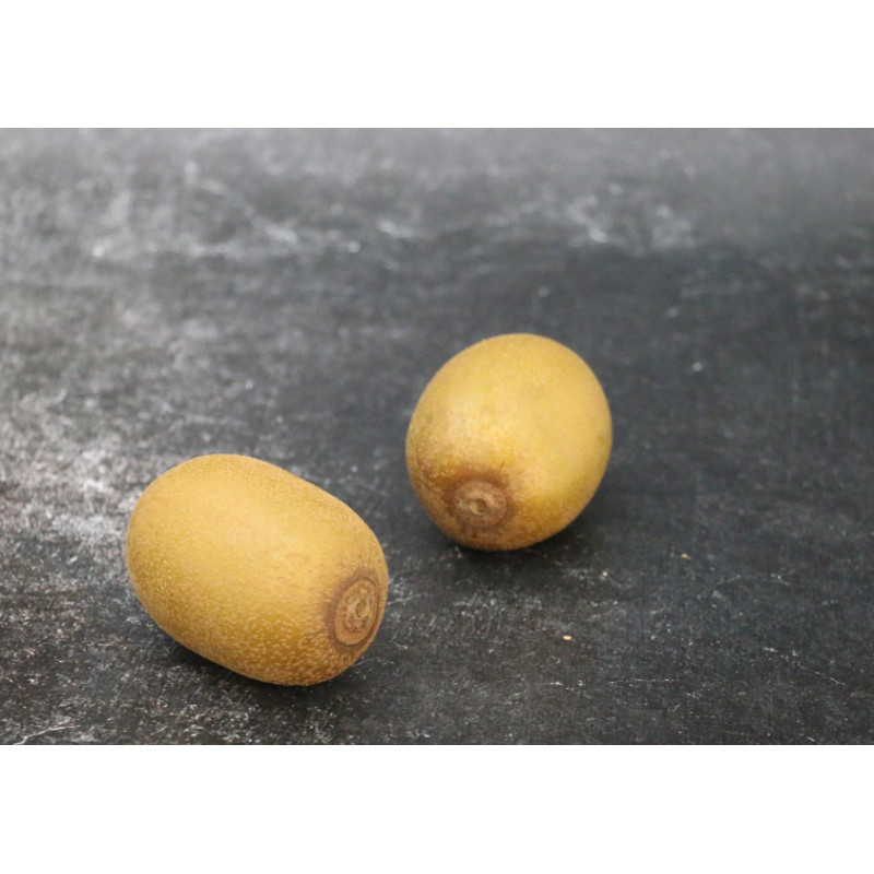 Kiwi Jaune - Lot de 2