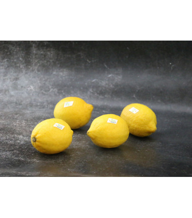 Citron jaune Bio - Lot de 4