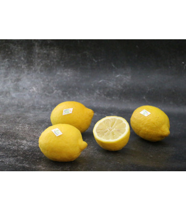 Citron jaune Bio - Lot de 4 en ligne sur Maison Seyssac