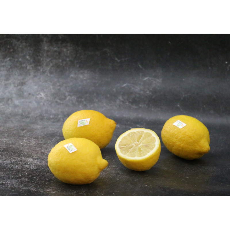 Citron jaune Bio - Lot de 4 en ligne sur Maison Seyssac