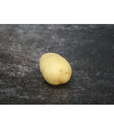 Pomme de terre Amandine - Le kilo