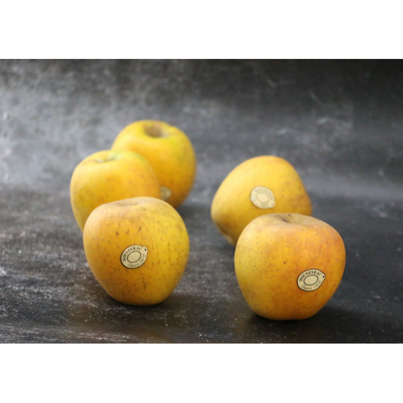 Pomme Goldrush - Lot de 5
