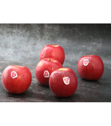 Pomme Pink Lady - Lot de 5