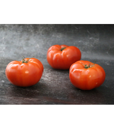 Tomate à Farcir - Le kilo en ligne sur Maison Seyssac