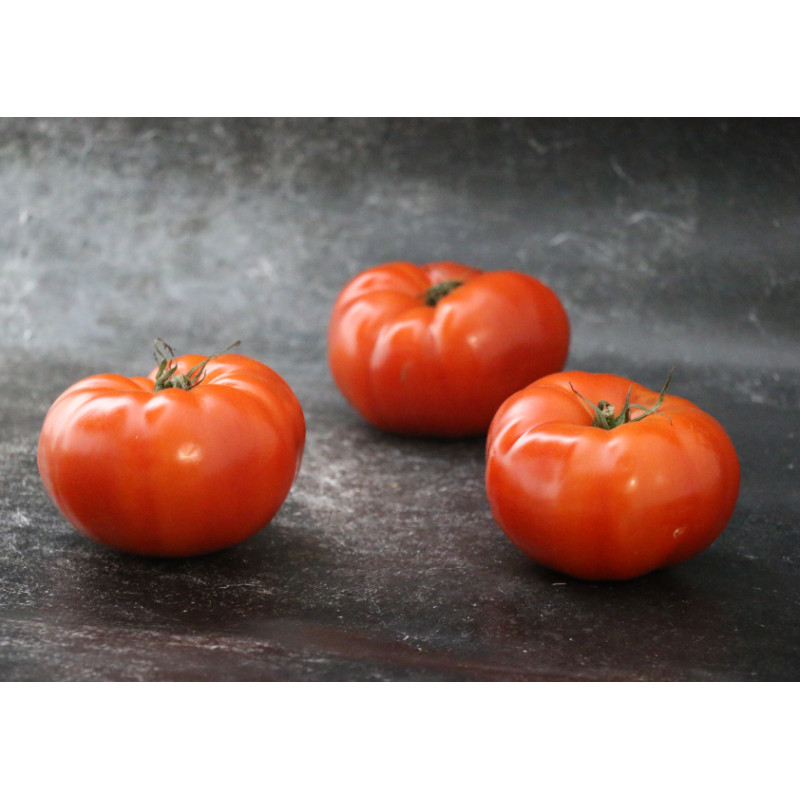 Tomate à Farcir - Le kilo en ligne sur Maison Seyssac