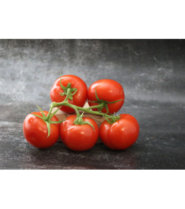 Tomate Grappe - Le kilo en ligne sur Maison Seyssac