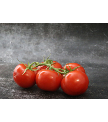 Tomate Grappe - Le kilo