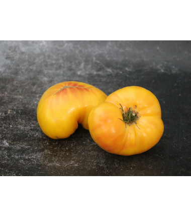 Tomate Ananas - Le kilo en ligne sur Maison Seyssac