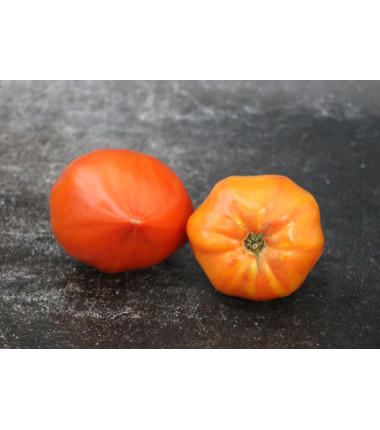 Tomate Coeur de Boeuf - Le kilo en ligne sur Maison Seyssac