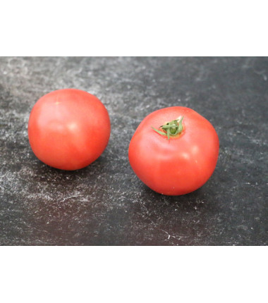 Tomate Rose de Berne - Le kilo en ligne sur Maison Seyssac