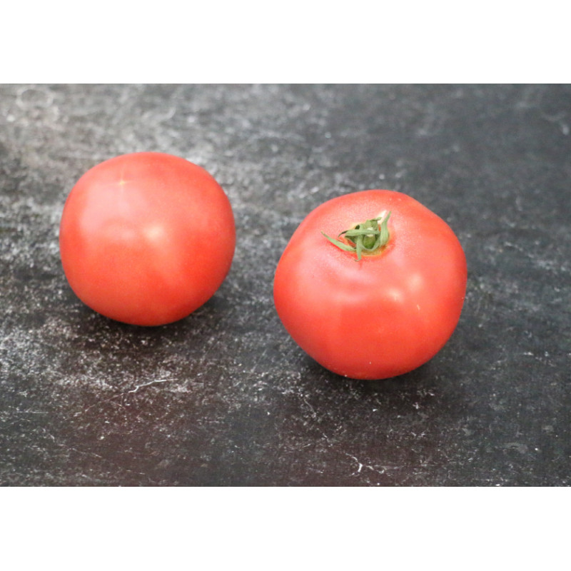 Tomate Rose de Berne - Le kilo en ligne sur Maison Seyssac