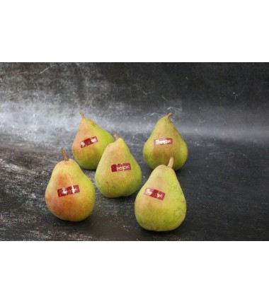 Poire comice - Lot de 3