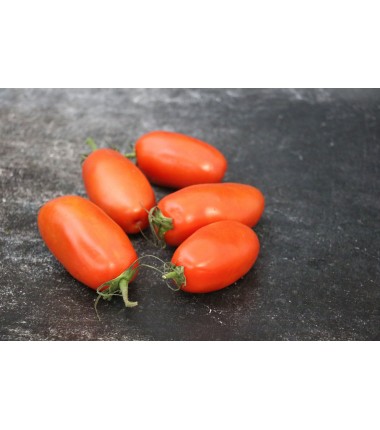 Tomate Torino - Le kilo en ligne sur Maison Seyssac