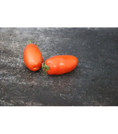 Tomate Torino - Le kilo en ligne sur Maison Seyssac