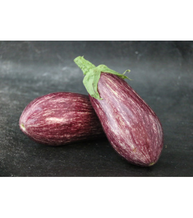 Aubergine graffiti - Lot de 2 en ligne sur Maison Seyssac