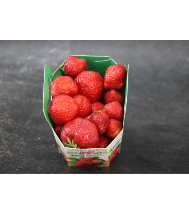 Fraises Mara des bois - La barquette en ligne sur Maison Seyssac