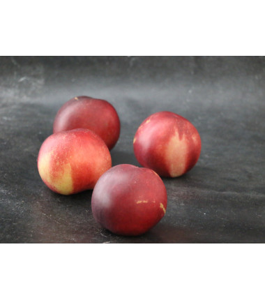 Nectarine blanche - Lot de 4