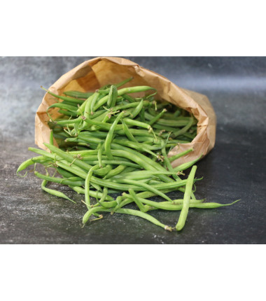 Haricot vert  - 500G