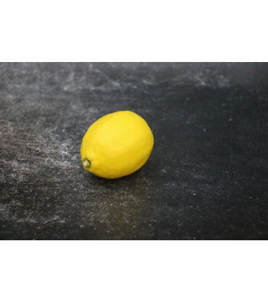 Citron jaune - Lot de 4 en ligne sur Maison Seyssac