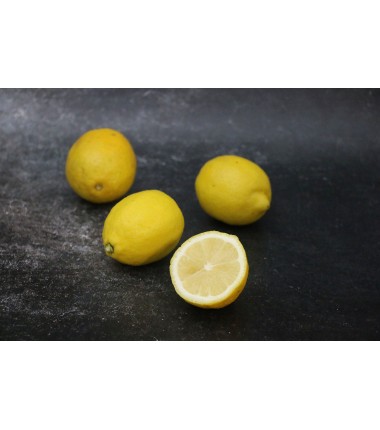 Citron jaune - Lot de 4 en ligne sur Maison Seyssac