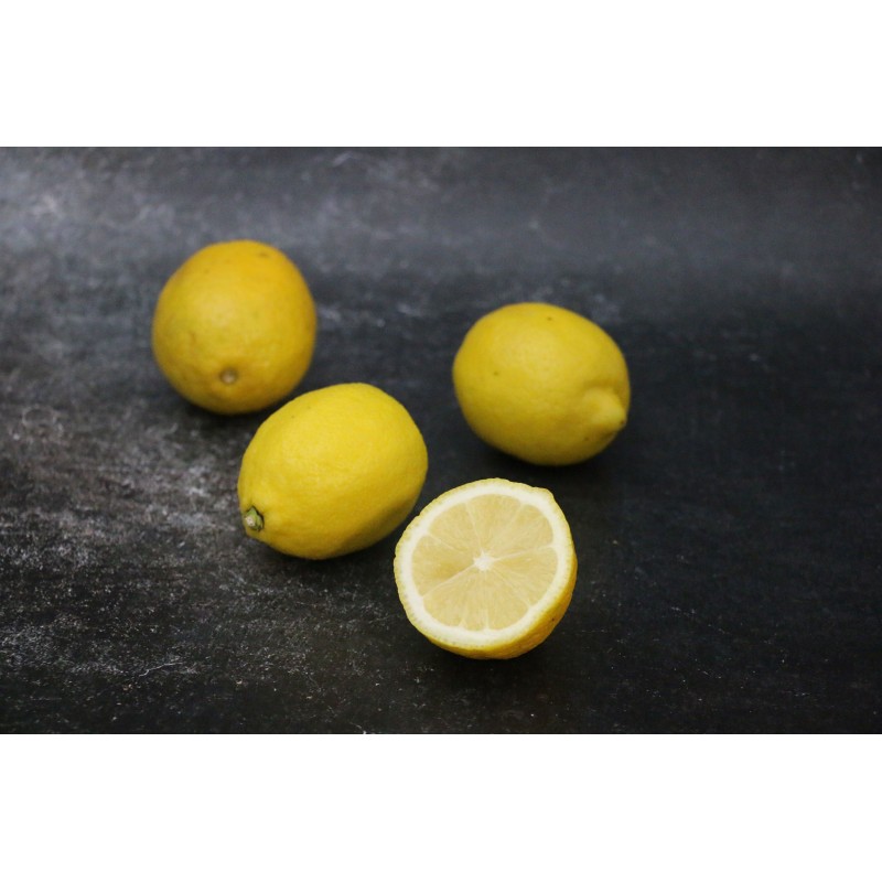 Citron jaune - Lot de 4 en ligne sur Maison Seyssac